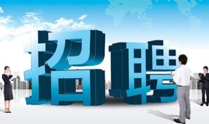 九洲创投园招聘IT专员